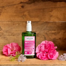 Weleda Wild Rose 24h Deodorant Spray, 3.4 Ounce