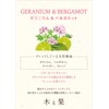 Harukado Wood and Fruit Deodorizing Clip, Geranium & Bergamot, Car