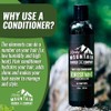 Rocky Mountain Barber Company - Acondicionador para hombre, aceite de