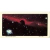 RED ROSE TEA CARD, SERIES: THE SPACE AGES, HORSE HEAD NEBULA