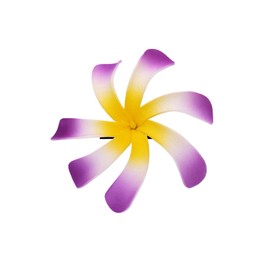 6pcs 3.5" Women's Fashion Hawaiian Tiare Flower Foam Hair Clip, 90mm Fashion Headpiece (Purple/White/Yellow)