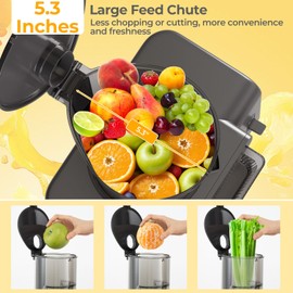 COSTWAY Cold Press Juicer, Slow Juice Extractor Machine with 5.3” Feed Chute, High Juice Yield and Reverse Function, Easy to Clean with Brush, BPA-Free, Masticating Juicer for Whole Fruits Vegetables