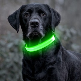 Colaseeme LED Dog Collar Light Up Dog Collars Micro USB Rechargeable Adjustable Nylon Webbing Plastic Buckle D Ring Glow Safety Basic Dog Collars for Dogs [Green, L-(21.2''-26''/54-66 cm)]