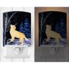 Caroline's Treasures SS8392CNL Starry Night Golden Retriever Ceramic Night Light