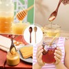 10 Piece Set Honey Spoon,Include 4pcs Honey Dipper and 6pcs