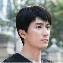 Donally Natural Wig, Men's, Light Texture and Natural Gloss, Heat Resistant, Full Wig, With Pins, Fashion, Makeover, Adjuster Included, Men's Wig (Black)