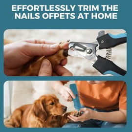 PAPIFFEED Pet Nail Grinder with with Dog Nail Trimmers,2 LED Lights, 3-Speed Rechargeable Quiet - Upgraded Electric Pet Nail Trimmer, Painless Paws Grooming Tool-Bule