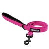 Best Pet Supplies Voyager Reflective Dog Leash or Collar with