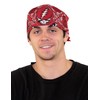 Sunshine Joy Grateful Dead Skull & Roses Bandana Red