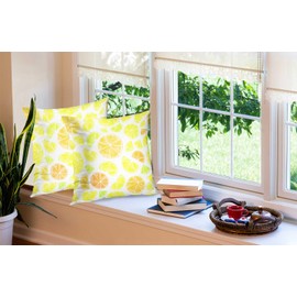 EMMTEEY Yellow Pillow Covers 2 Packs Outdoor Throw Pillow Covers Lemon Lime Grapefruit Orange Watercolor Throw Pillow Cover 18X18 for Sofa Couch Bedroom Living Room