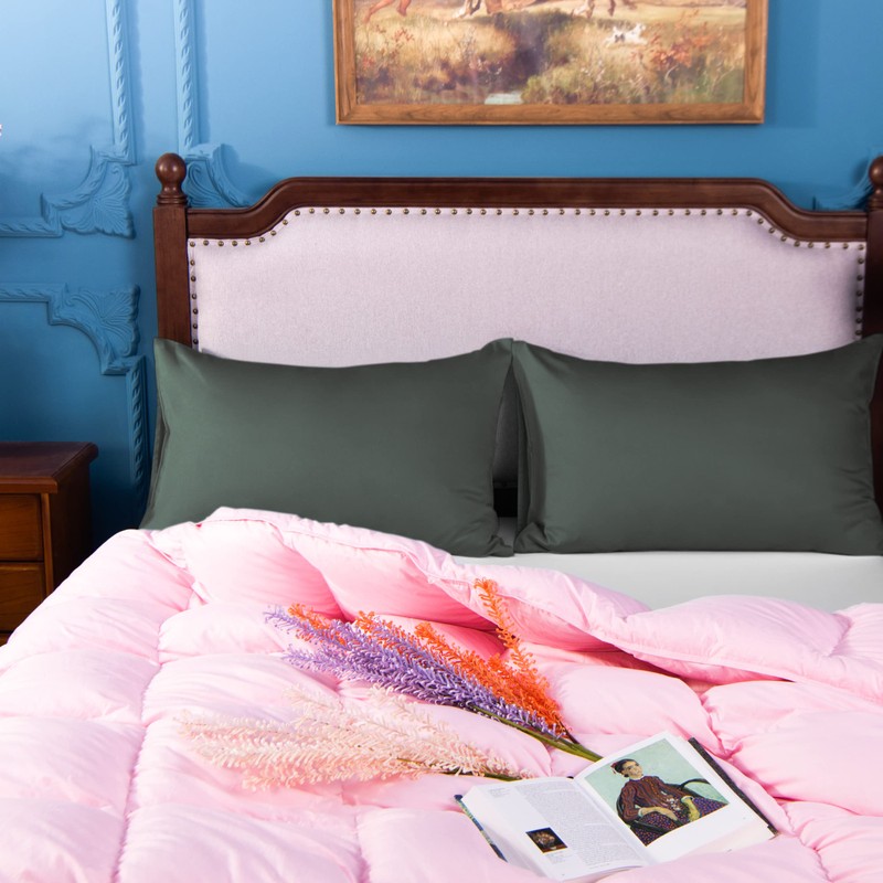 NTBAY 2 Pack 500 Thread Count 100% Egyptian Cotton Pillowcases,