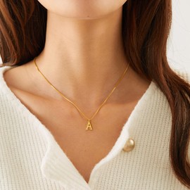 BAYLAY Gold M Initial Necklace for Women - 18K Gold Plated Initial Necklace Dainty Gold Initial Letter Necklace Gold Initial Necklace Name Necklace Gold Jewelry Gold Necklace for Women Trendy Gifts
