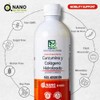 Curcumina y Colágeno Hidrolizado | Suplemento de Alta Absorción 480ml