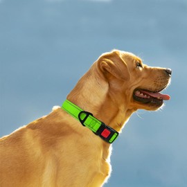 Taglory Dog Collar, Soft, Padded Neoprene Dog Collar for Extra-Large Dogs, Adjustable and Reflective for Training, Green