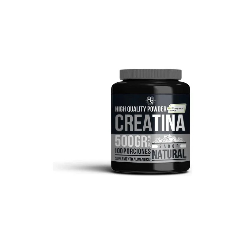 Creatina Pura Monohidratada Holix Lab 500g 100 Serv Creatina Micronizada