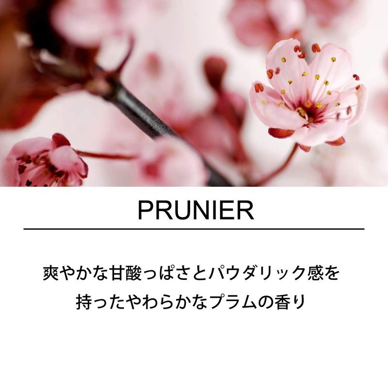 ESTEBAN Esprit De Natural Plum Liquid Air Freshener, 3.1 fl