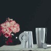 Pylorixz Cocktail Shaker Set: Professional Boston Shaker, Cocktail Strainer and