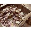 InsideMyNest Dusty Rose, Ivory & Gold Biodegradable Confetti Mix Handmade