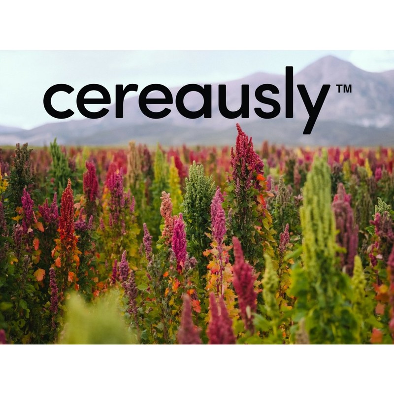 CEREAUSLY Organic White Quinoa – Premium Royal Quinoa from Bolivia