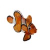 Clown Fish Glass Figure – Coral Reef Fish S 51