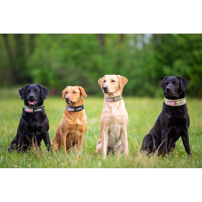Comfluxe 2.5" Tactical Dog Collar for Medium Dogs, Adjustable Heavy