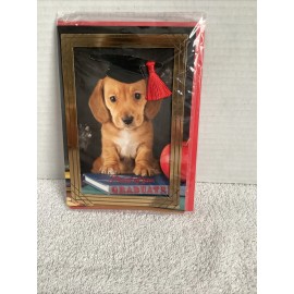 Viola NEW VOiLa Graduation Card - So Proud Of You Graduate - Envelope Included! Sealed