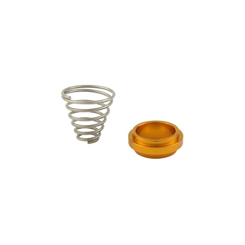 POSH FAITH Motorcycle Gear Rear Master Return Spring & Spacer