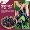 NY Spice Shop Currants Dried Fruit - 1 Pound Currant