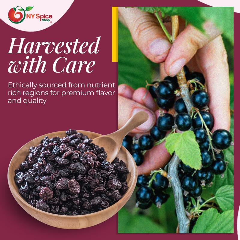 NY Spice Shop Currants Dried Fruit - 1 Pound Currant