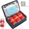 FlowFly Small Insulated Lunch box Portable Soft Bag Mini Cooler