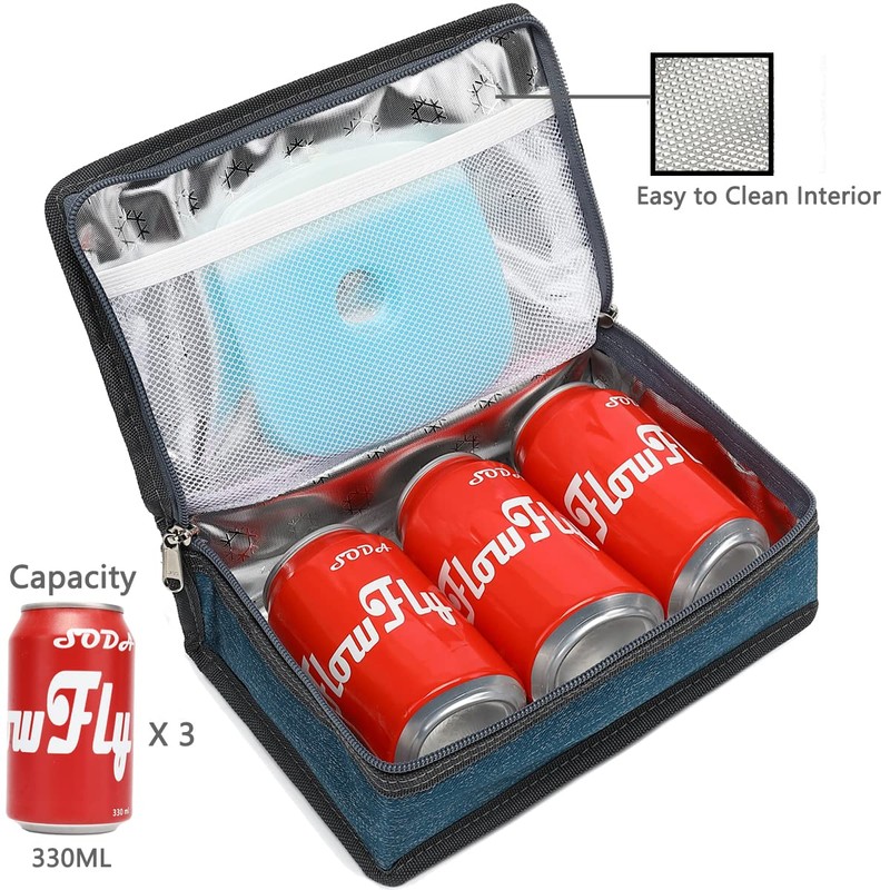 FlowFly Small Insulated Lunch box Portable Soft Bag Mini Cooler