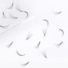 Russian Prefabricated 8D 0.07 D Curl 9-16 mm Mixed Eyelash