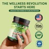 PureLeaf Soursop 24 in 1 Supplement - Soursop, Shilajit ,Sea