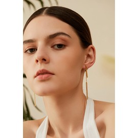 14K Gold Drop Dangle Earrings Dangling Chain Link Hypoallergenic Earrings for Women for Sensitive Ears Trendy Jewelry