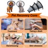 Vivifying Cat Cone, Adjustable Recovery Pet Cone, Three Sizes Lightweight