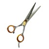 Set of 2 - Professional Barber Scissors and Thinning Shears