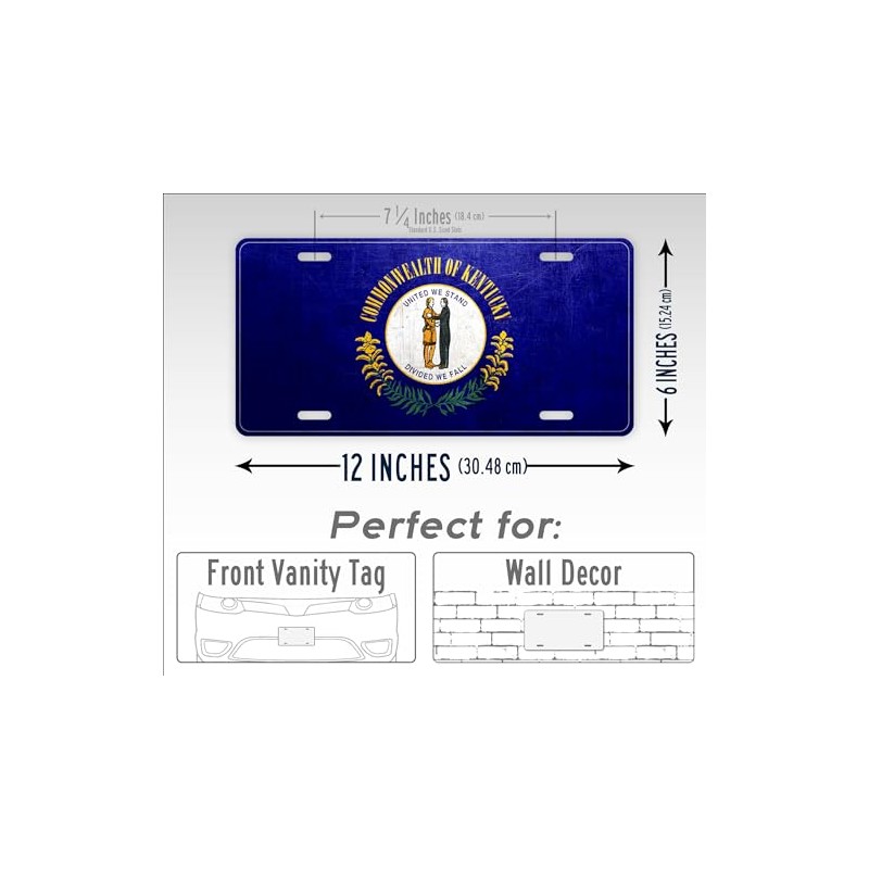 Kentucky Weathered Metal Flag License Plate Antique KY State Flag
