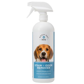 Messy Pet Dog Stain and Odor Remover – Carpet Stain Remover and Pet Odor Eliminator, Safe for Dogs & Puppies - 27.05 fl oz