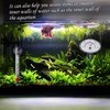 AccEncyc 30 Small Suction Cups 20mm/0.8in Mini Suction Cups for
