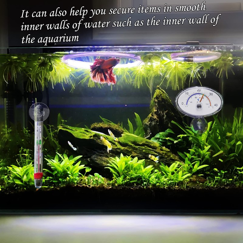 AccEncyc 30 Small Suction Cups 20mm/0.8in Mini Suction Cups for