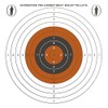 Bisley Loose 17cm Single Targets Economy Card Grade 2 Pack