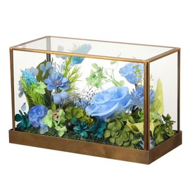 Mothers Day Flowers Roses Gifts for Mom,Forever Real Preserved Rose in Glass Dome,Mother's Day Roses Gifts for Women Grandma Wife Mother in Law