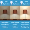 Scheinenda 3-Way Led Light Bulbs 30 70 100 Watt Equivalent