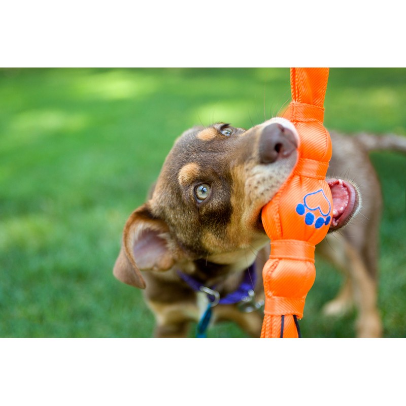 Hartz Tuff Stuff Fetch & Tug Dog Toy - Small