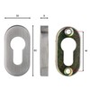 Oval Key Escutcheon Profile Cylinder Stainless Steel Matt Height 9