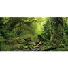 AWERT 48x24 inches Tropical Forest Terrarium Background Stream Green Huge