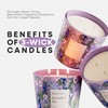 Hidden Label Hyacinth & Lilac Scented,3 Wick Large Candles for