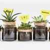 KINGLAKE 100pcs 6x10cm Plastic Plant Labels for Seeds, Seedling, Vegetables,
