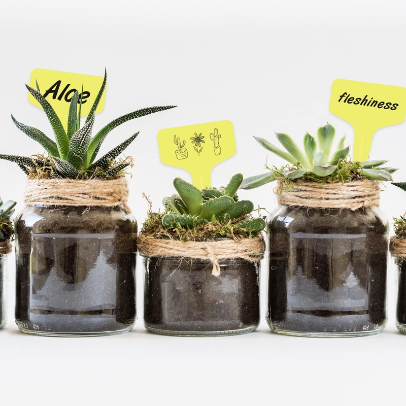 KINGLAKE 100pcs 6x10cm Plastic Plant Labels for Seeds, Seedling, Vegetables,