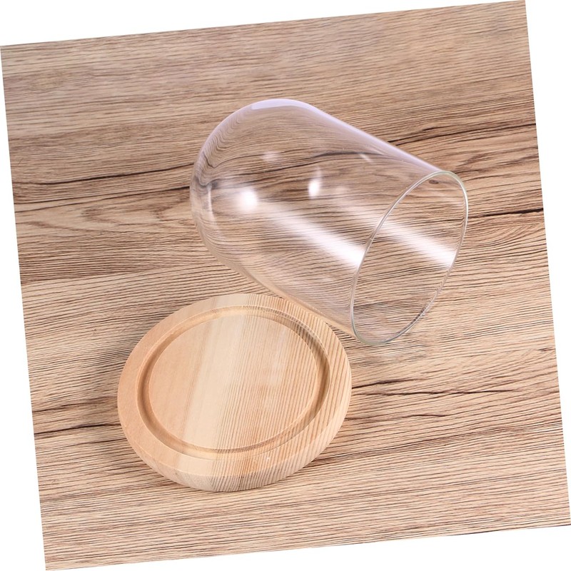 CHILDWEET 9x12cm Flower Glass Cover Glass Dome on Wooden Stand